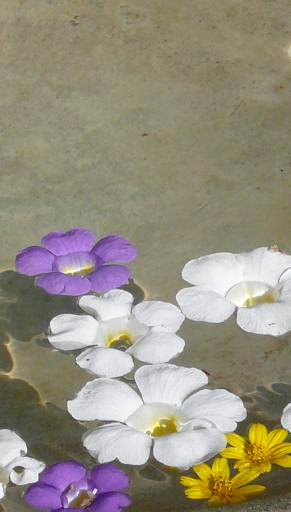 floating flowers