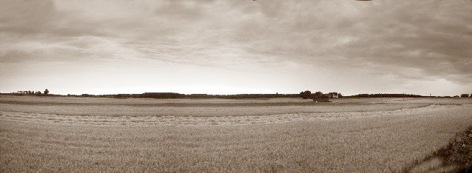 sunset over fields