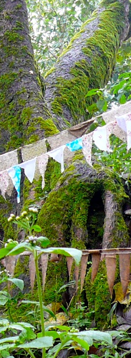 tree with flags